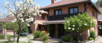 Отдых в пансионатах Крыма весной: когда природа пробуждается, а море манит первых любителей тепла