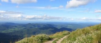 Экологические тропы и прогулки на природе: как гулять с пользой для себя и для земли