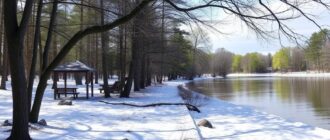 Прогулочные зоны и парки на территории: как создать место, куда хочется возвращаться