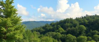 Экология и чистый воздух как фактор выбора: почему мы все начали считать дыхание ценностью