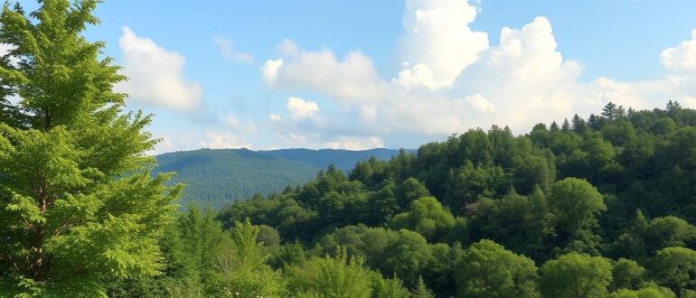 Экология и чистый воздух как фактор выбора: почему мы все начали считать дыхание ценностью