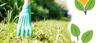 Экологические акции и субботники: как маленькие усилия складываются в большое дело