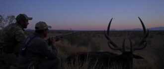 Охота в охотничьих хозяйствах: как выбрать, подготовиться и получить максимум от выезда