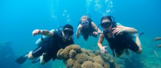 Дайвинг и снорклинг на курортах: как выбрать место, подготовиться и наслаждаться подводным миром